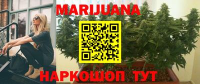 ALPHA PVP Гай