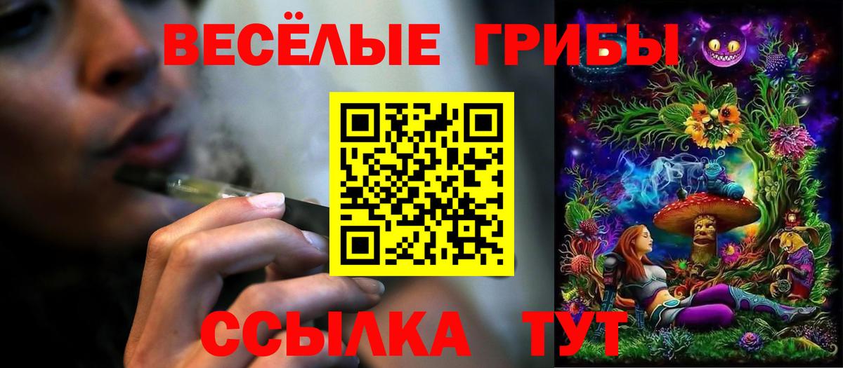 Галлюциногенные грибы GOLDEN TEACHER Минусинск